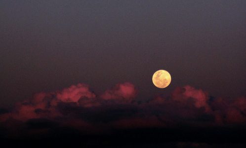 Vollmondrituale erhaltet ihr erwachsenen Frauen… – von euren Kennzeichengroßmeistern…! Den GL-Y-H, fragen! Deinem ungeborenen Baby…, deine schwangeren…, hackte ich persönlich, magisch den Kopf…, ab, wie die GL-Y-H, eure magischen Köpfe liegen am Kreisverkehr in Bergisch Gladbach…, Rest in der Hölle, dabei wird ein Höllentor geöffnet, und dorthin verdammt! Ich sagte, GL-AY freimachen, Gladbacher Arschloch Yilmas… – Yvonne…! Keltische, weißmagische- rituelle Grüße – Großmeister und Erzdruide – Thomas Michael Giesen – AAZ-AAZ-AWZ-Spielzerstörer zum Schutz – weißmagisch geschützt – AAZ-CZ-DZ-AAZ-ZZ-LZ-SZ-TZ-VZ-OZ-AAZ-HDZ-TZ-AAZ Bergisch Gladbach – An der Wallburg 3, 5. Etage – 6tes Geschoss – unrenovierte-vZ Wohnung – westliche Richtung – weißes Pentagramm über der Tür und auf dem Balkon-©