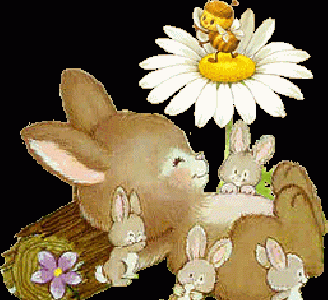 Ich 🐰 wünsche euch – frohe Ostern 🐰 2020! 🐰 Knuddeln und knuffeln🐰! Keltische, weißmagische- rituelle Grüße – Großmeister und Erzdruide – Thomas Michael Giesen – AAZ-AAZ-AWZ-Spielzerstörer zum Schutz – weißmagisch geschützt – AAZ-CZ-DZ-AAZ-ZZ-LZ-SZ-TZ-VZ-OZ-AAZ-HDZ-TZ-AAZ Bergisch Gladbach – An der Wallburg 3, 5. Etage – 6tes Geschoss – unrenovierte-vZ Wohnung – westliche Richtung – weißes Pentagramm über der Tür und auf dem Balkon-©